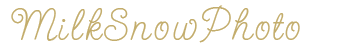 ミルクスノー撮影会